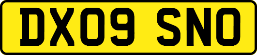 DX09SNO
