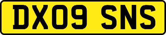 DX09SNS