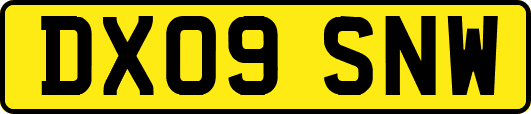 DX09SNW