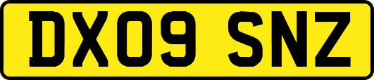 DX09SNZ