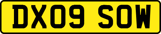 DX09SOW