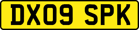 DX09SPK
