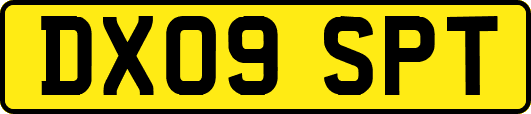 DX09SPT