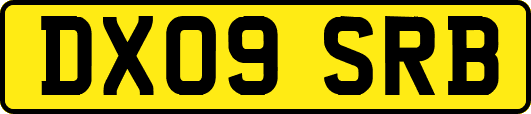 DX09SRB