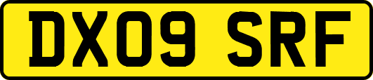 DX09SRF