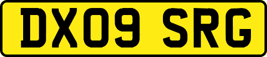 DX09SRG