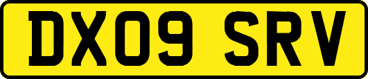 DX09SRV
