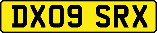 DX09SRX