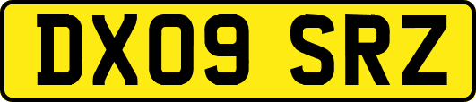 DX09SRZ