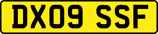 DX09SSF