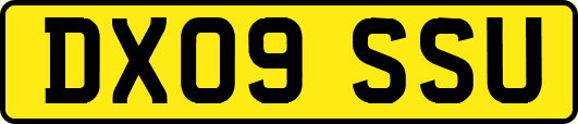 DX09SSU