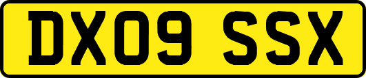 DX09SSX