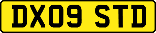 DX09STD