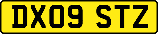 DX09STZ