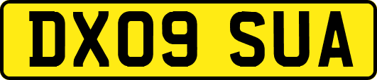DX09SUA
