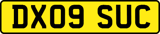 DX09SUC