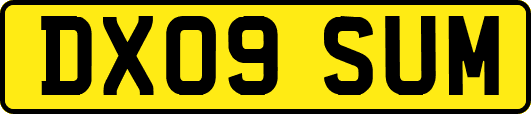 DX09SUM