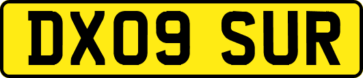 DX09SUR