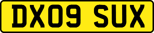 DX09SUX