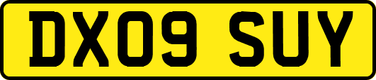 DX09SUY