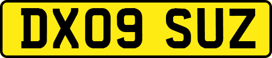 DX09SUZ