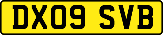 DX09SVB