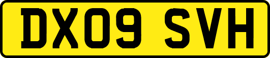 DX09SVH