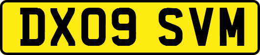 DX09SVM