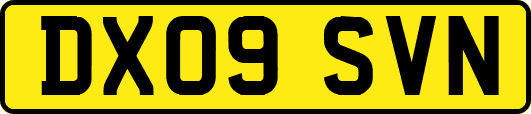 DX09SVN
