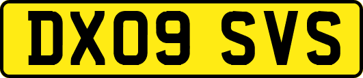 DX09SVS