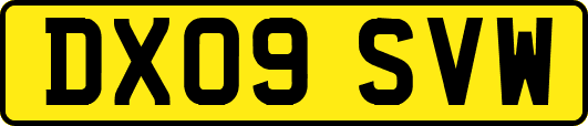 DX09SVW