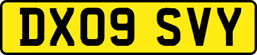DX09SVY