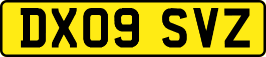 DX09SVZ