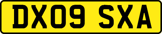 DX09SXA