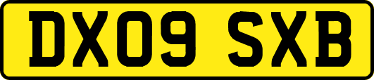 DX09SXB