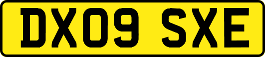 DX09SXE