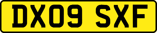 DX09SXF