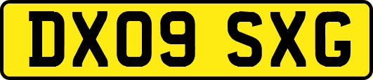 DX09SXG