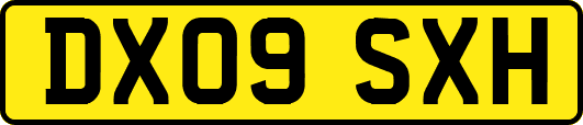 DX09SXH