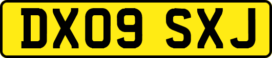 DX09SXJ