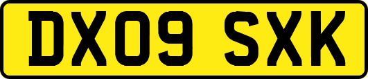 DX09SXK