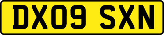 DX09SXN