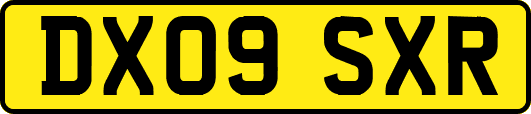 DX09SXR