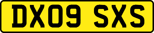 DX09SXS