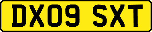 DX09SXT