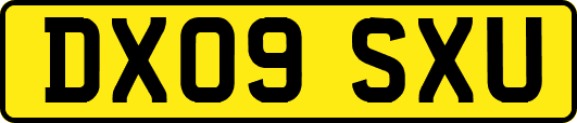 DX09SXU