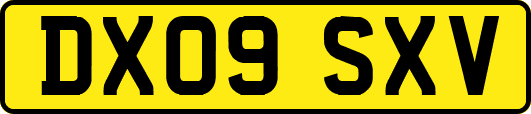 DX09SXV