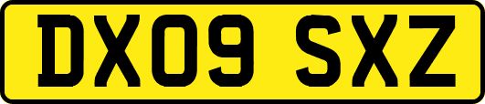 DX09SXZ