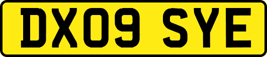 DX09SYE