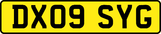 DX09SYG